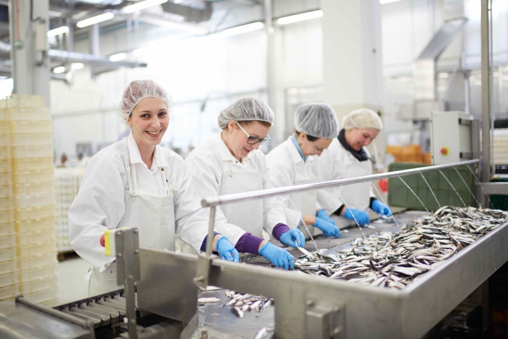 Sardina: Meeting the high standards of the industry