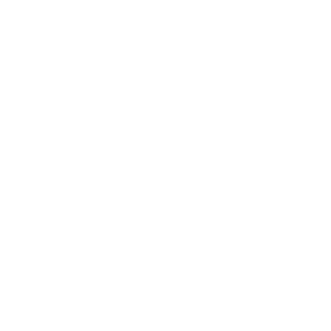 service-icon