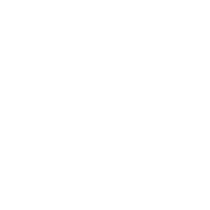service-icon