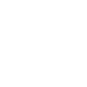 service-icon