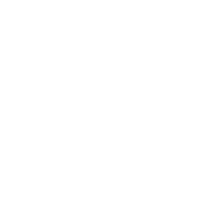 service-icon