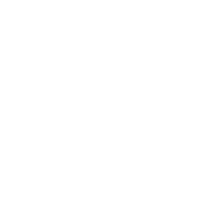 service-icon