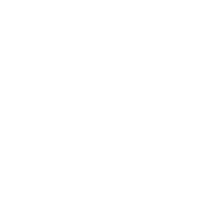 service-icon