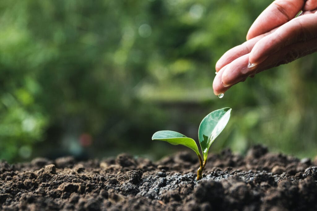 Caring for people and the planet – a special birthday gift from Lindström