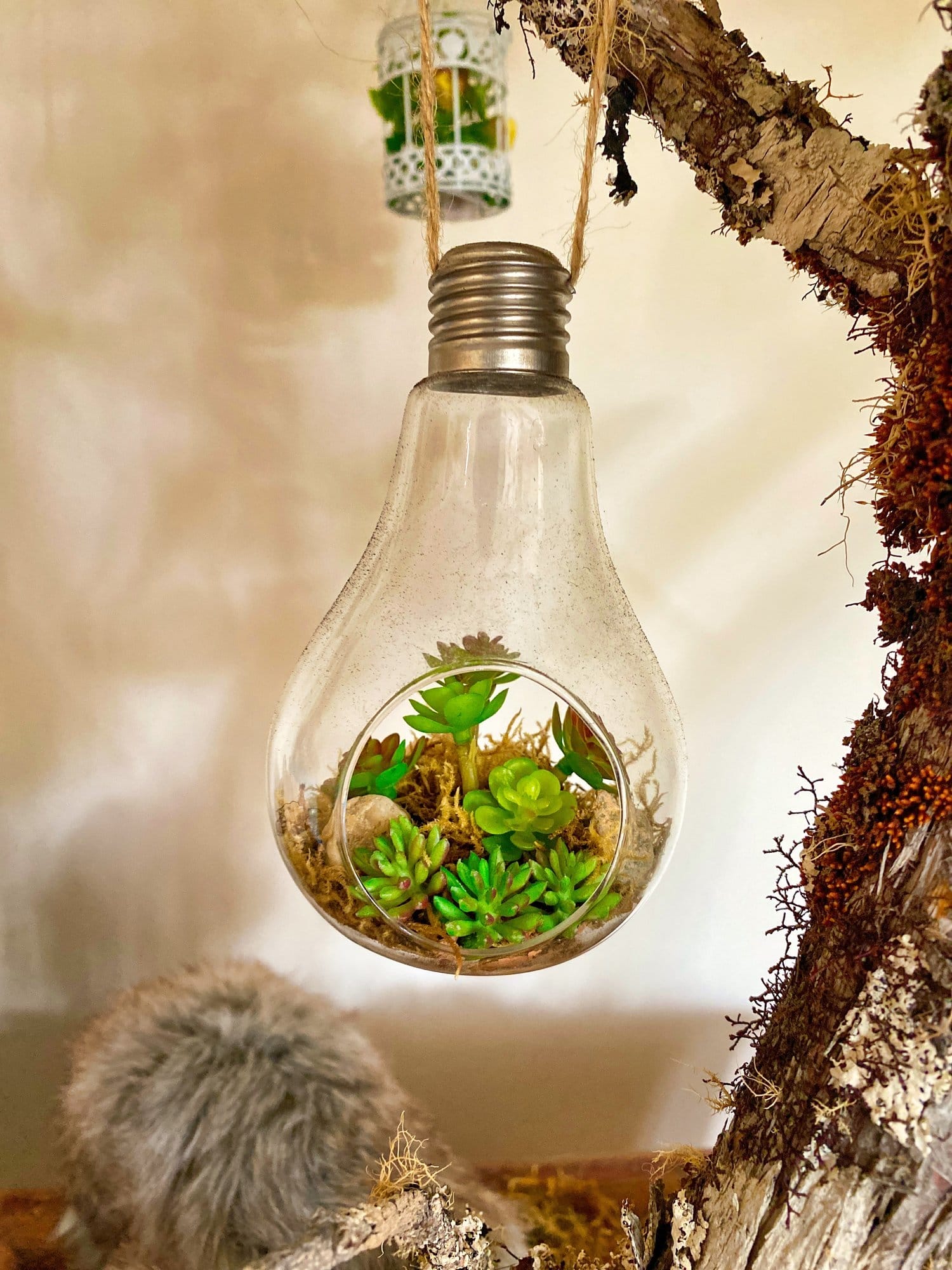 Sustainable Fashion