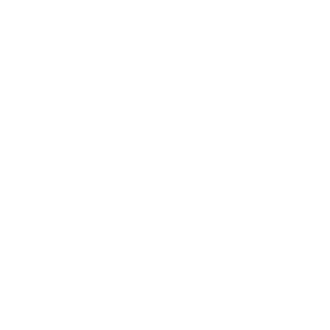 service-icon