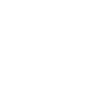 service-icon