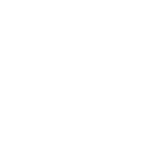 service-icon