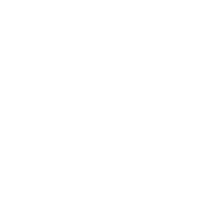 service-icon