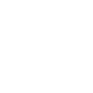 service-icon