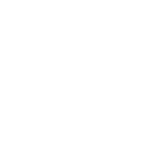 service-icon