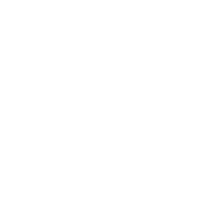 service-icon