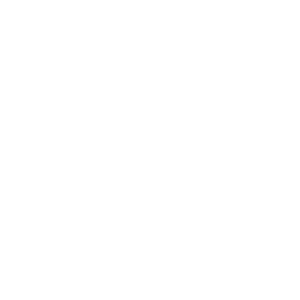service-icon