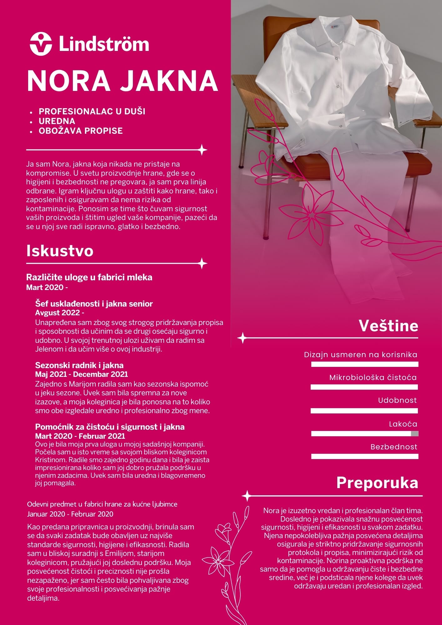 Prigrlite iskustvo - Norin CV