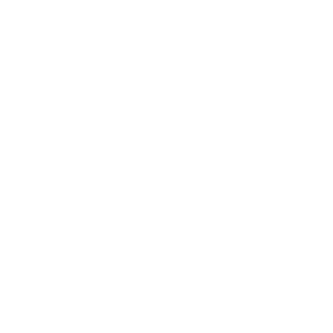 service-icon