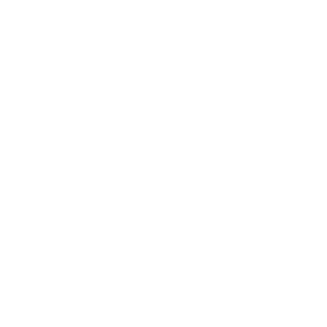 service-icon
