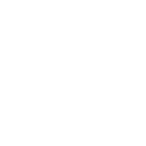 service-icon