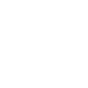 service-icon