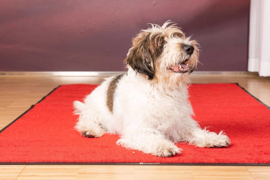 Podne prostirke za čišćenje