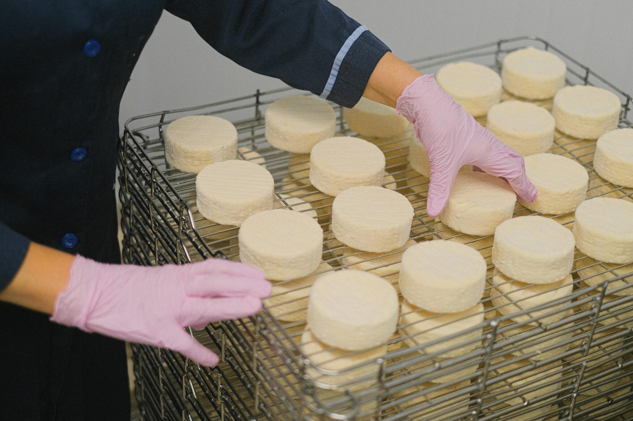 Dairy industry workwear