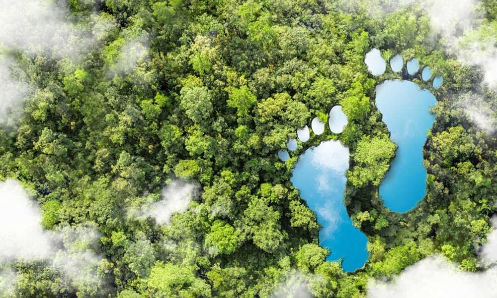 Mi az a karbonlábnyom, és hogyan csökkenthető céges szinten?