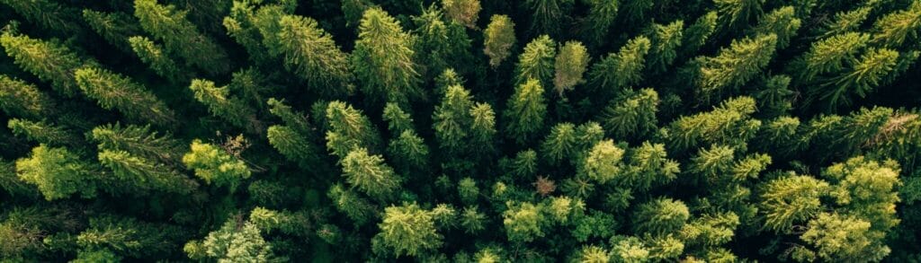 Udržitelnost funguje: jak zodpovědné podnikání vytváří skutečnou hodnotu pro zákazníky