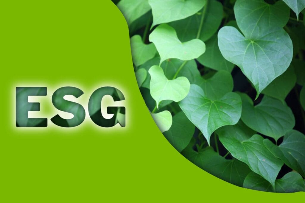 ESG (ÇSY) Nedir ?