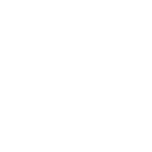 service-icon