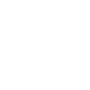 service-icon