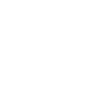 service-icon