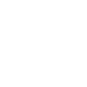 service-icon