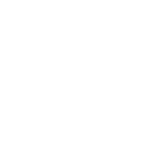 service-icon