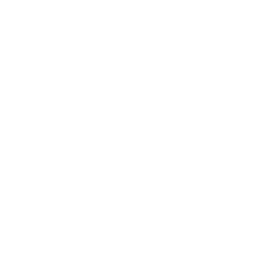 service-icon